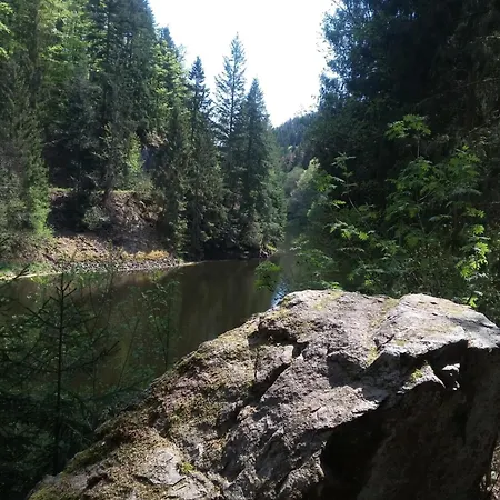 Surki's Loggia An Der Sonne Schluchsee