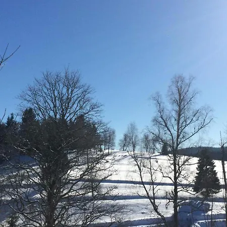 Lejlighed Surki's Loggia An Der Sonne Schluchsee