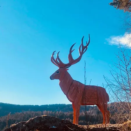 Lejlighed Surki's Loggia An Der Sonne Schluchsee