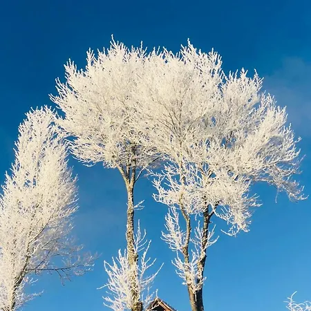 Lejlighed Surki's Loggia An Der Sonne