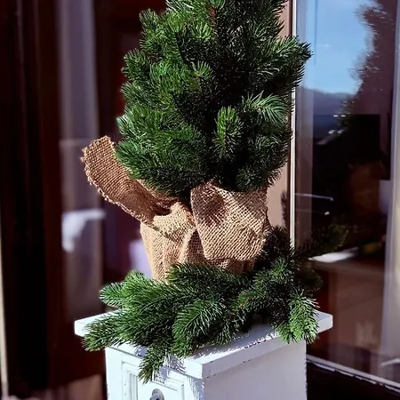 Surki's Loggia An Der Sonne Apartmán Schluchsee