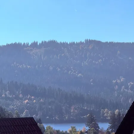 Surki's Loggia An Der Sonne Lejlighed Schluchsee