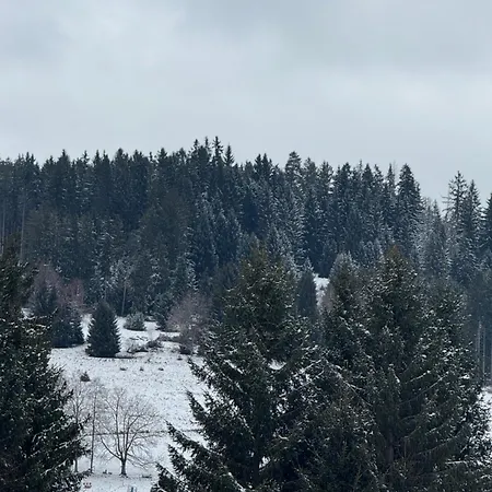 Surki's Loggia An Der Sonne Schluchsee